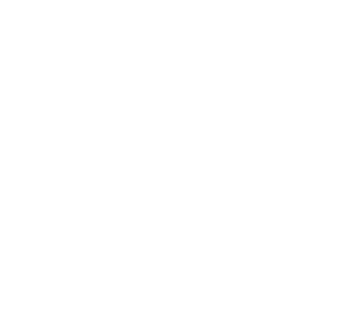 feng logo light